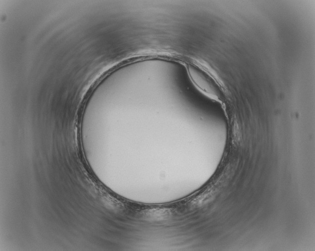 X0000072951268200608111617