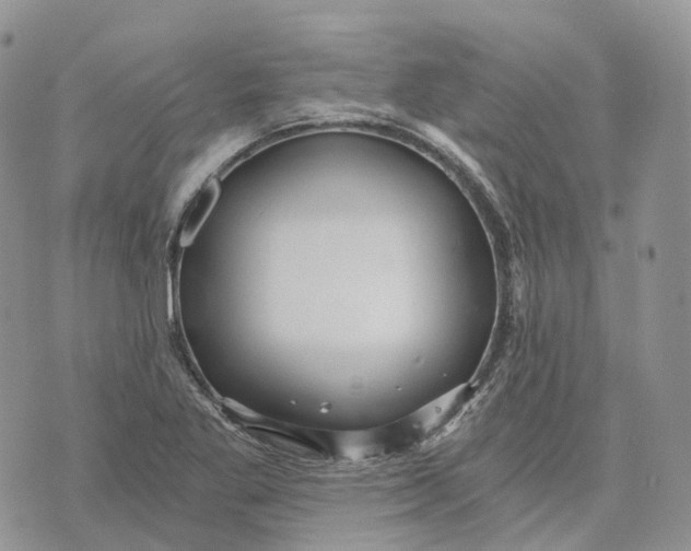 X0000072951269200608111616