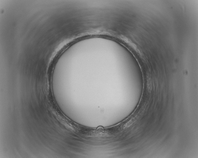 X0000072951270200608111616