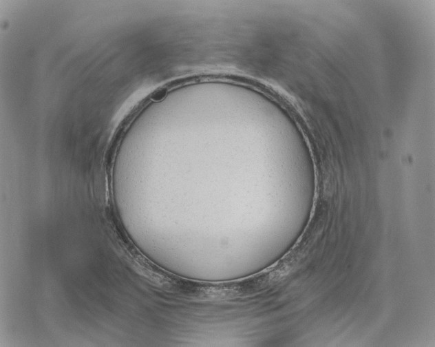 X0000072951271200608111616