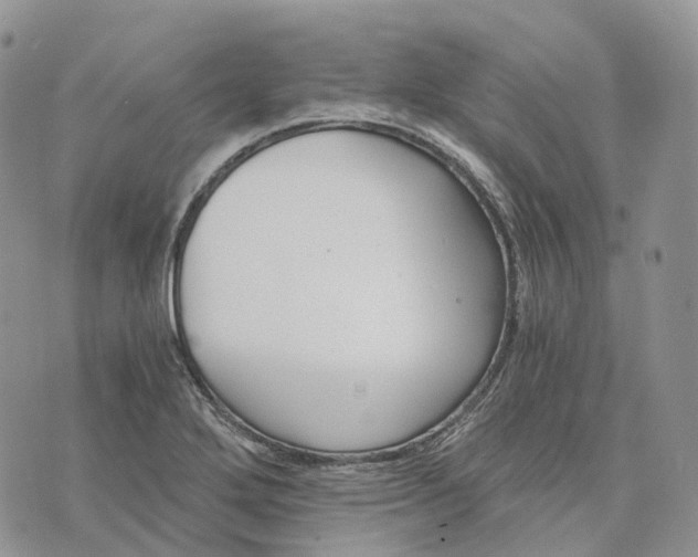 X0000072951272200608111616