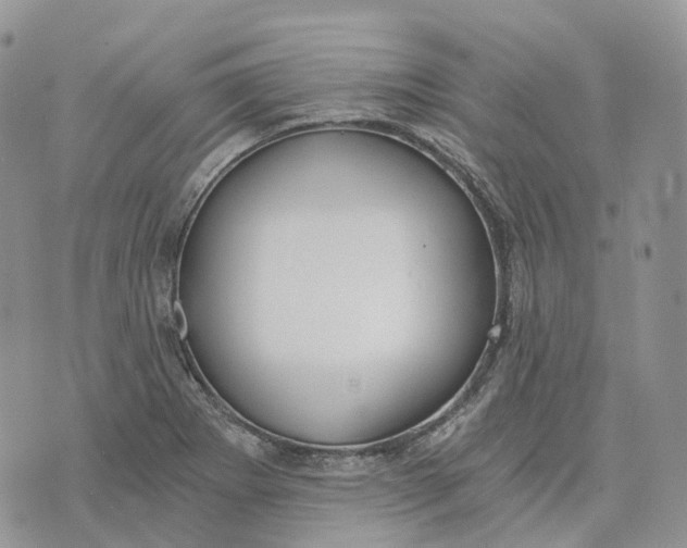 X0000072951273200608111616