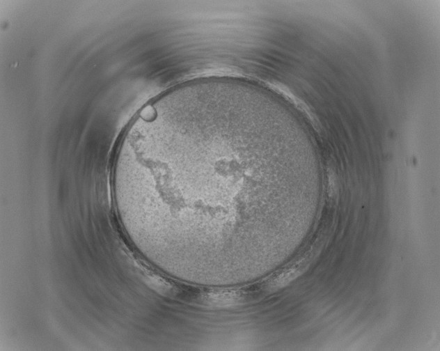 X0000072951274200608111616