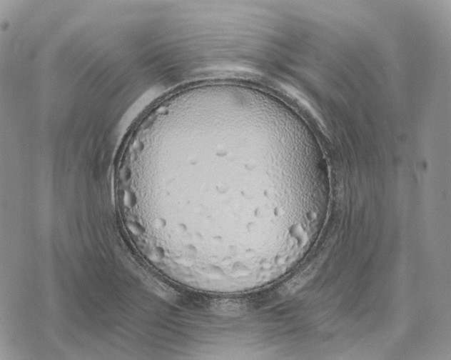 X0000072951275200608111616