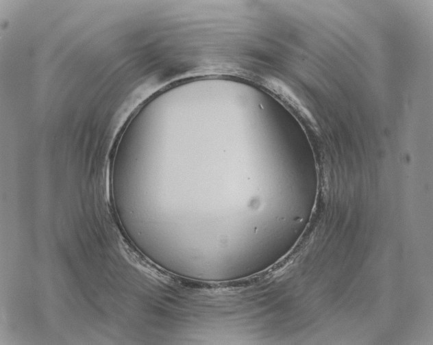 X0000072951276200608111616