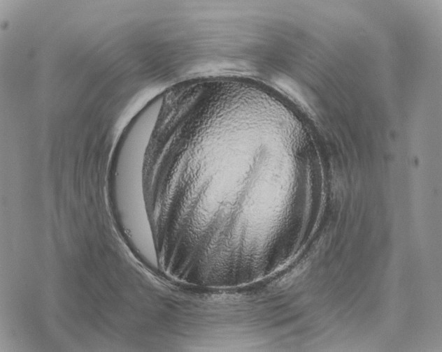 X0000072951277200608111616