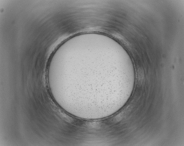 X0000072951278200608111616