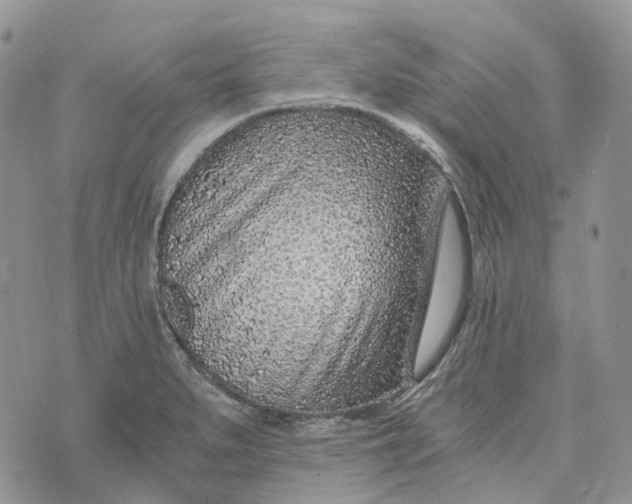 X0000072951279200608111616