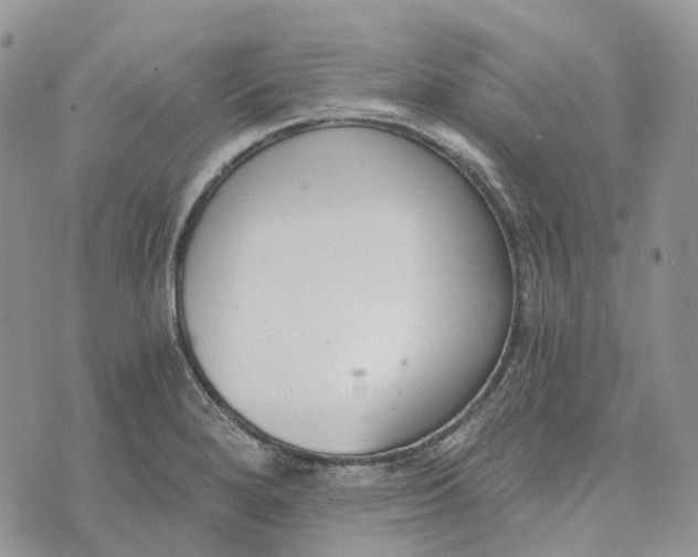 X0000072951280200608111616