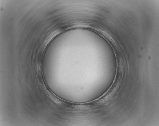 X0000072951281200608111616