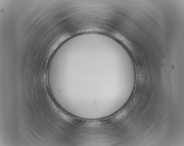 X0000072951282200608111616