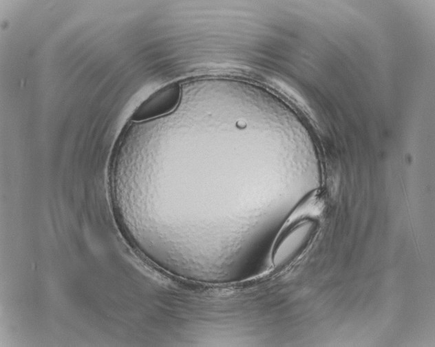 X0000072951283200608111616