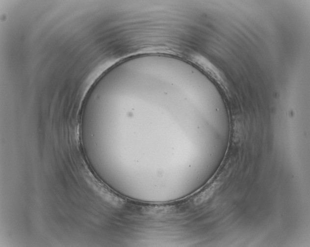 X0000072951284200608111616