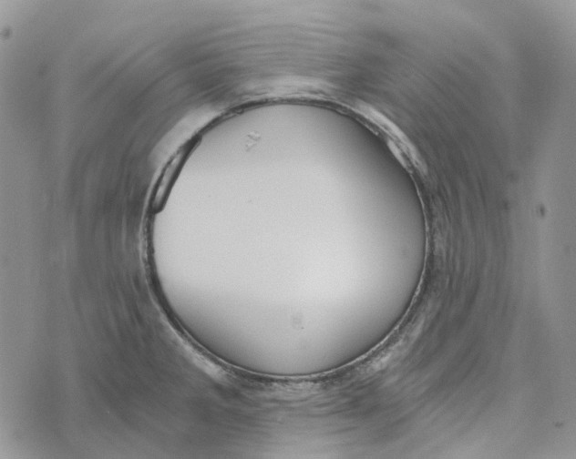 X0000072951285200608111616