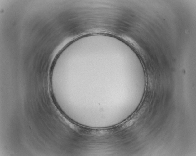 X0000072951286200608111616