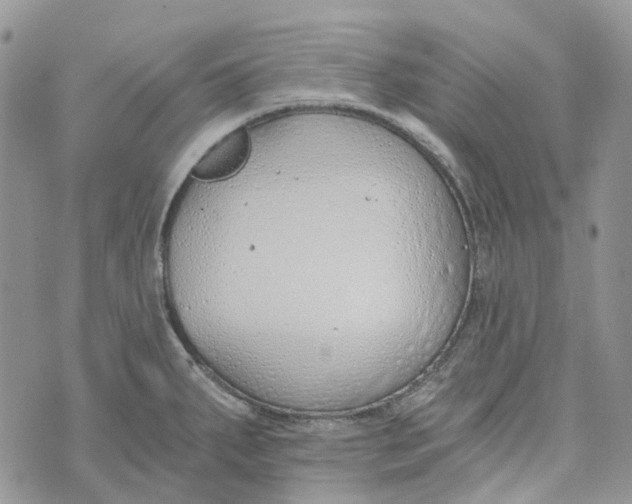 X0000072951287200608111616