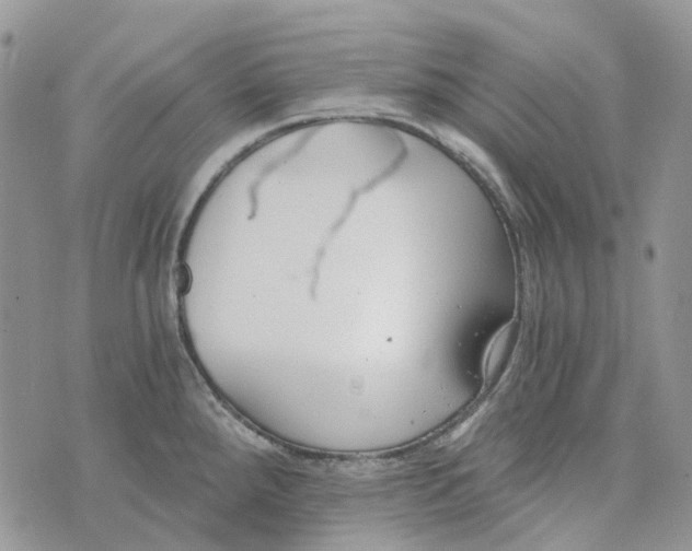 X0000072951288200608111616