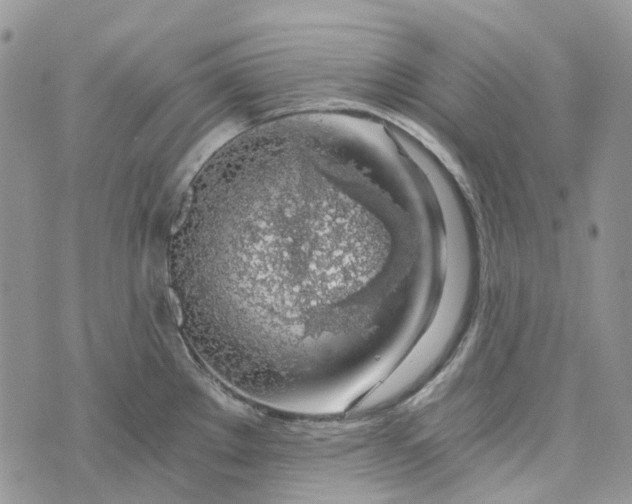 X0000072951289200608111616