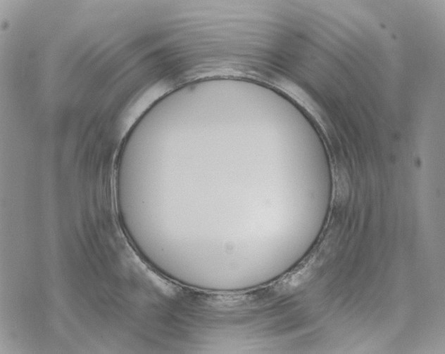 X0000072951290200608111616