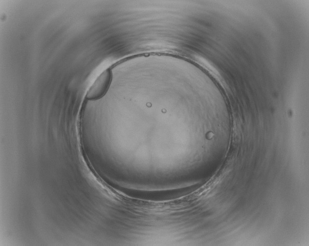 X0000072951291200608111616