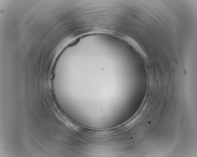 X0000072951292200608111616