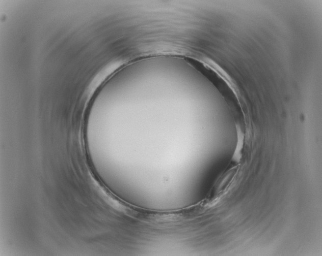 X0000072951293200608111616