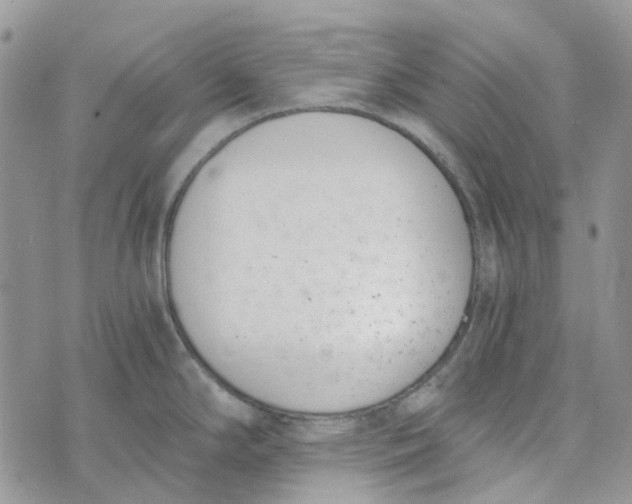 X0000072951294200608111616