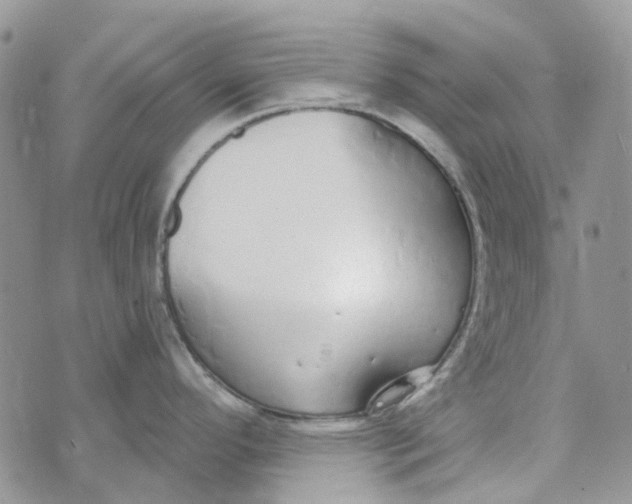 X0000072951296200608111616