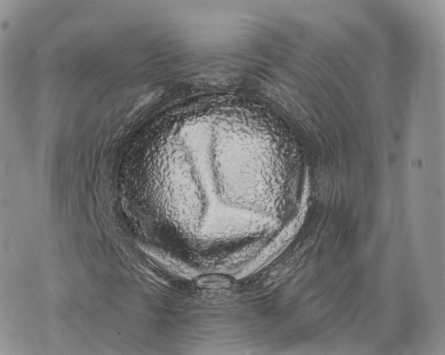 X0000072951297200608111615