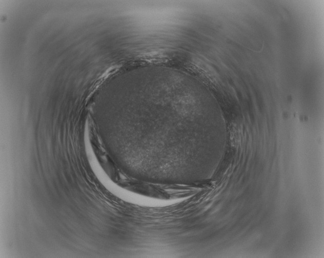 X0000072951298200608111615