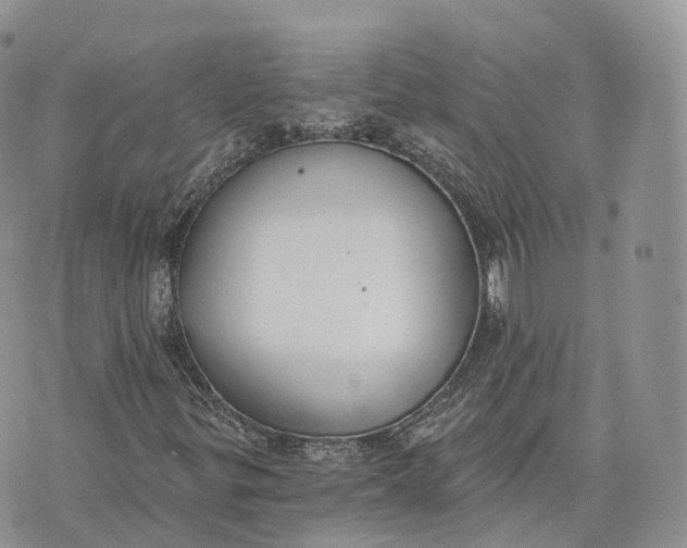 X0000072951299200608111615