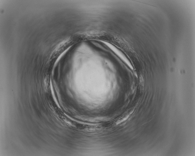 X0000072951300200608111615