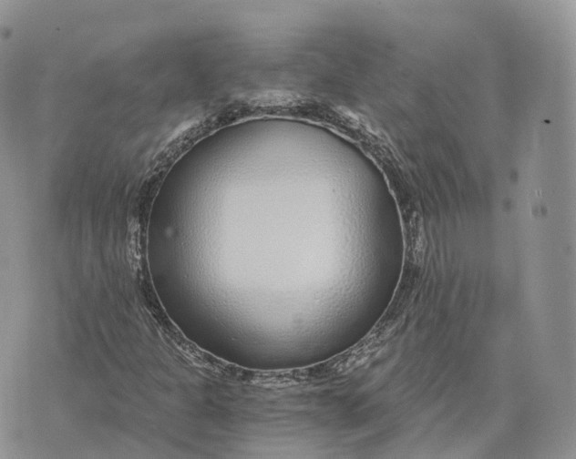 X0000072951301200608111615