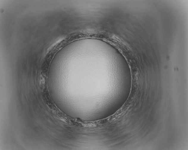 X0000072951302200608111615