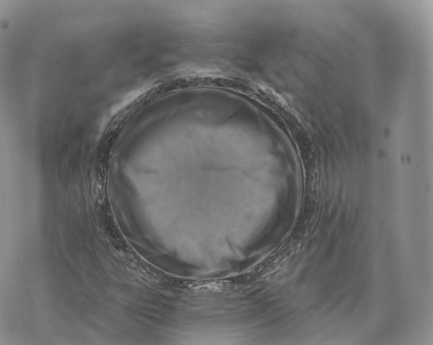 X0000072951303200608111615