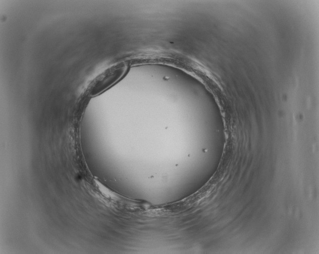 X0000072951304200608111615