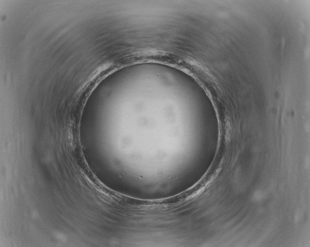 X0000072951305200608111615