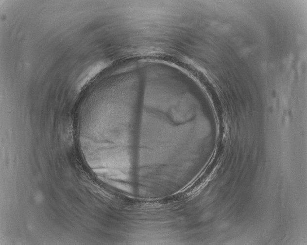 X0000072951306200608111615