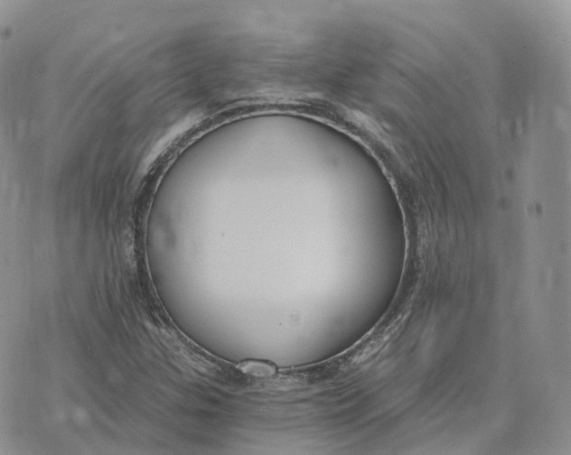 X0000072951307200608111615