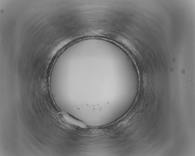 X0000072951308200608111615