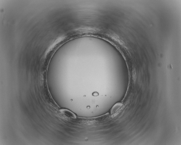 X0000072951309200608111615