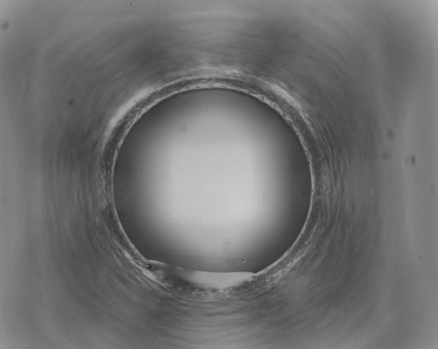 X0000072951310200608111615