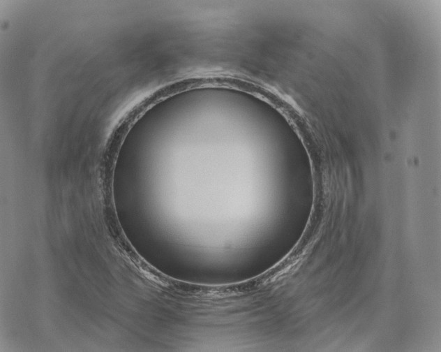 X0000072951311200608111616