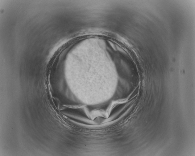 X0000072951312200608111616