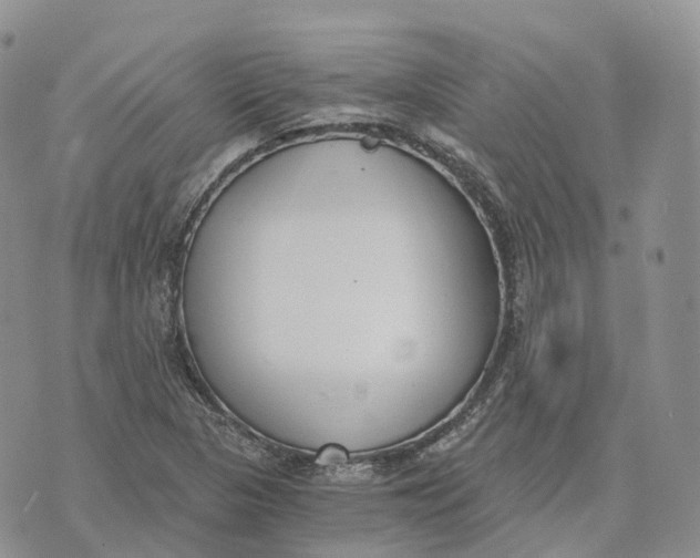 X0000072951313200608111616