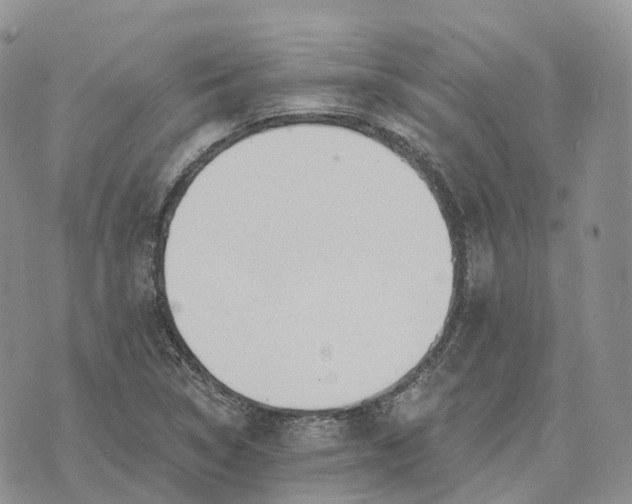 X0000072951314200608111616