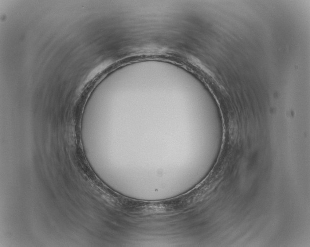 X0000072951315200608111616