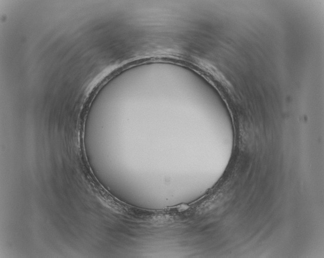 X0000072951316200608111616