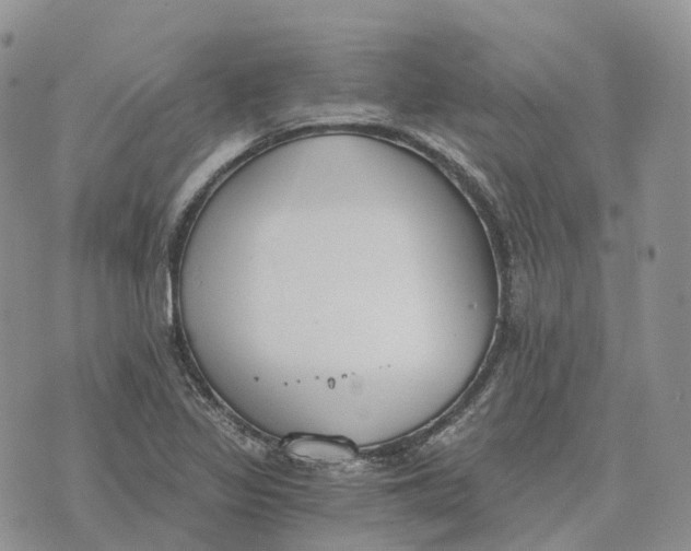 X0000072951317200608111616