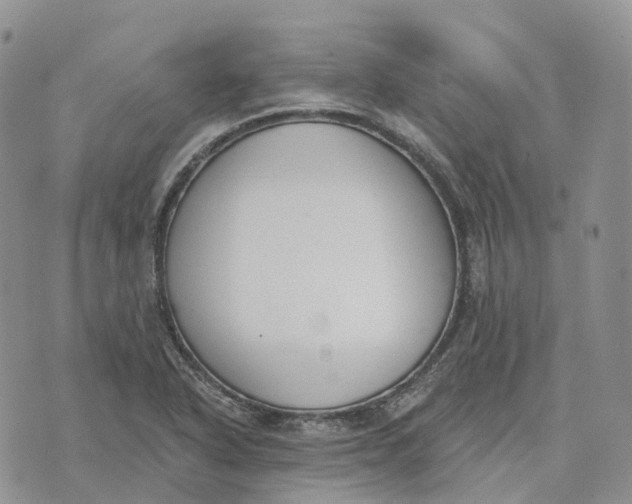 X0000072951318200608111616